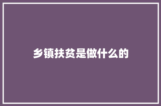 乡镇扶贫是做什么的