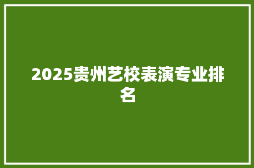 2025贵州艺校表演专业排名