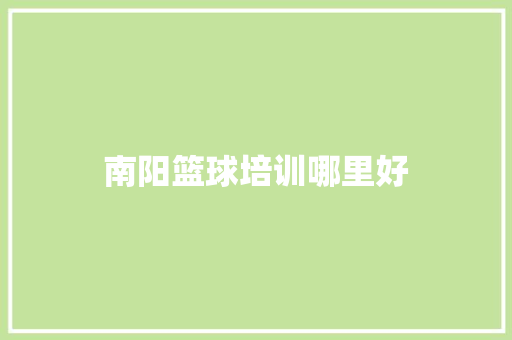 南阳篮球培训哪里好