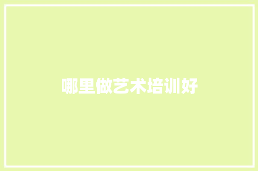 哪里做艺术培训好