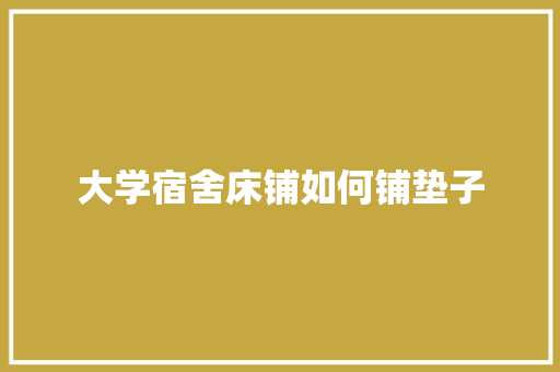 大学宿舍床铺如何铺垫子