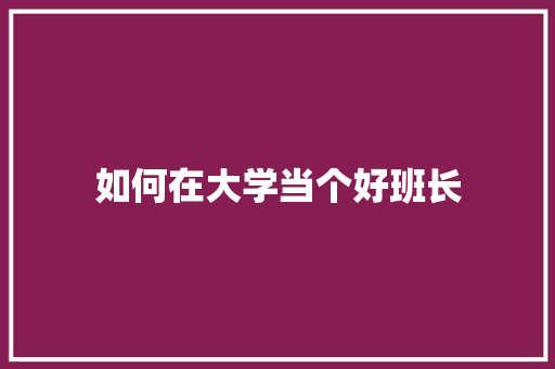 如何在大学当个好班长