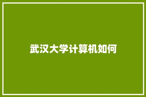 武汉大学计算机如何