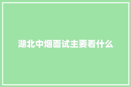 湖北中烟面试主要看什么