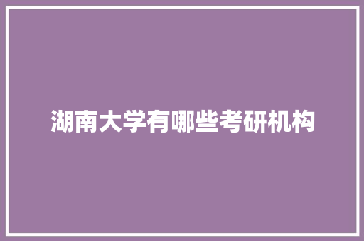 湖南大学有哪些考研机构