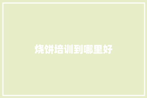 烧饼培训到哪里好