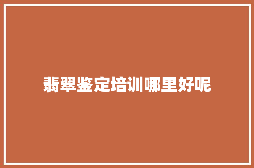 翡翠鉴定培训哪里好呢