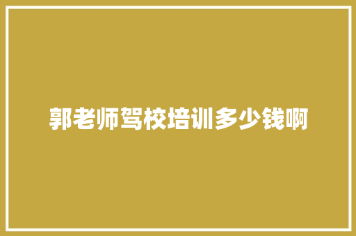 郭老师驾校培训多少钱啊