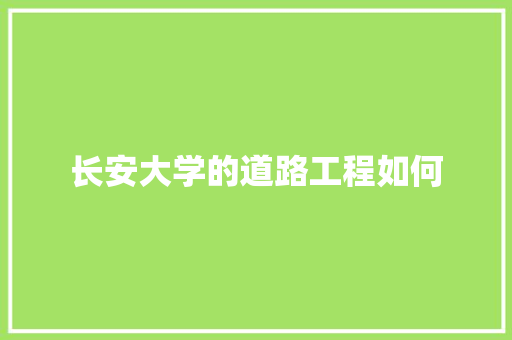 长安大学的道路工程如何