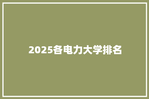 2025各电力大学排名