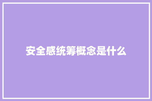 安全感统筹概念是什么