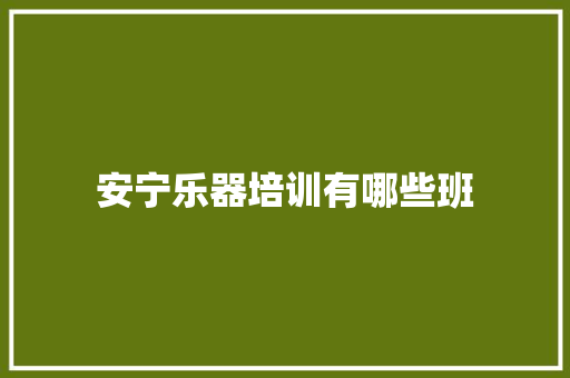 安宁乐器培训有哪些班