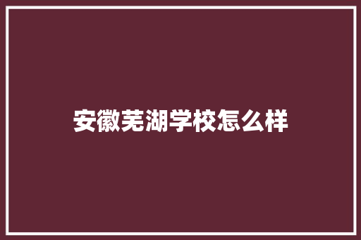 安徽芜湖学校怎么样