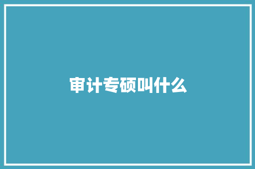 审计专硕叫什么 项目报告