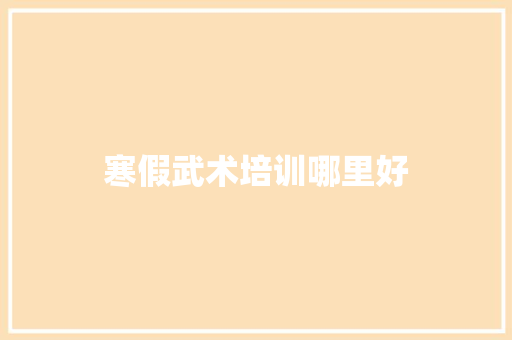 寒假武术培训哪里好