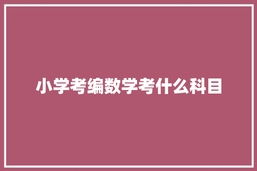 小学考编数学考什么科目