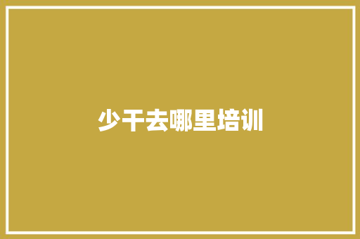 少干去哪里培训