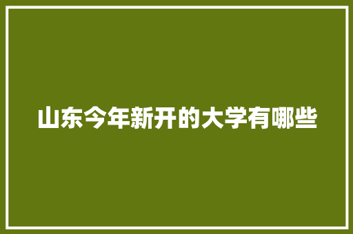 山东今年新开的大学有哪些