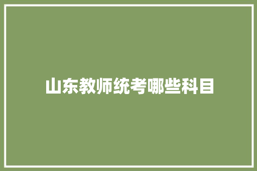 山东教师统考哪些科目 会议纪要