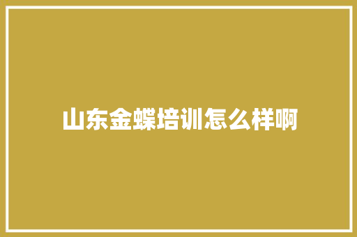 山东金蝶培训怎么样啊