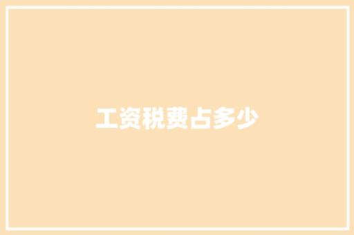 工资税费占多少