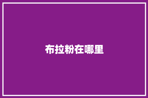 布拉粉在哪里