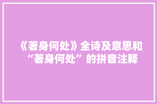 《著身何处》全诗及意思和“著身何处”的拼音注释