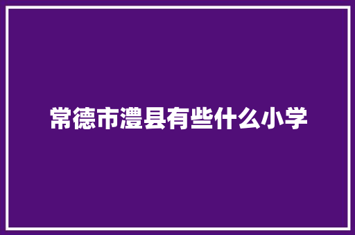 常德市澧县有些什么小学