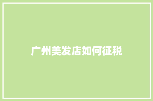 广州美发店如何征税