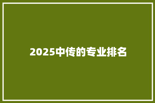 2025中传的专业排名