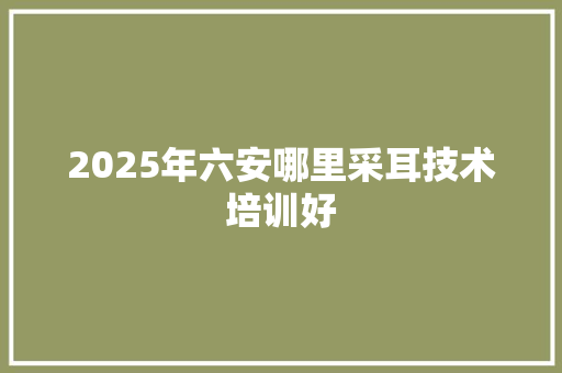 2025年六安哪里采耳技术培训好