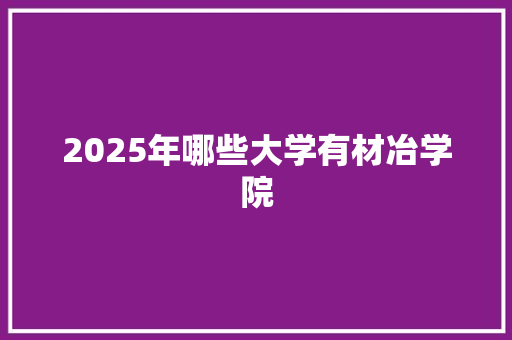 2025年哪些大学有材冶学院