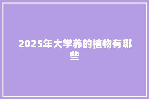 2025年大学养的植物有哪些