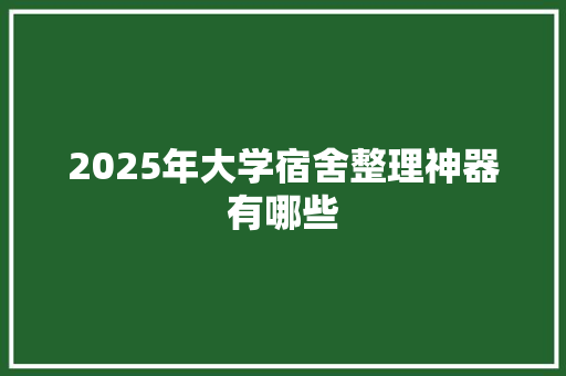 2025年大学宿舍整理神器有哪些