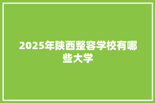 2025年陕西整容学校有哪些大学