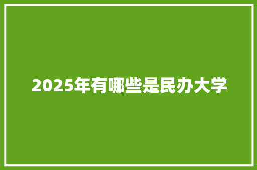 2025年有哪些是民办大学