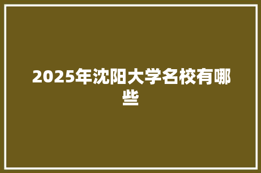 2025年沈阳大学名校有哪些