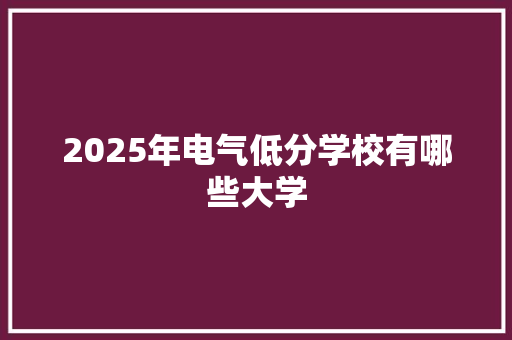 2025年电气低分学校有哪些大学 职场写作