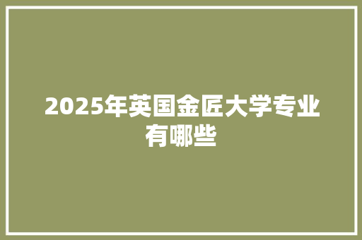 2025年英国金匠大学专业有哪些 工作总结