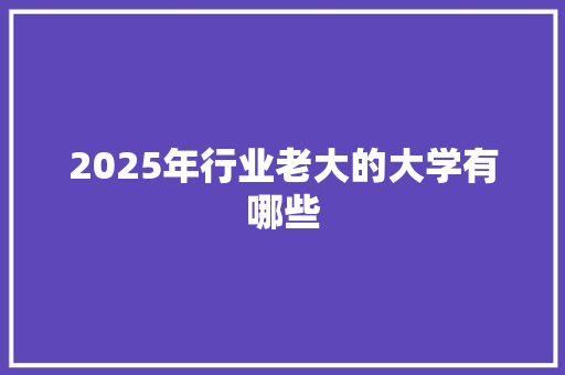 2025年行业老大的大学有哪些