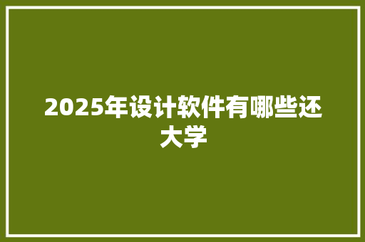 2025年设计软件有哪些还大学