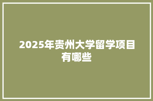 2025年贵州大学留学项目有哪些