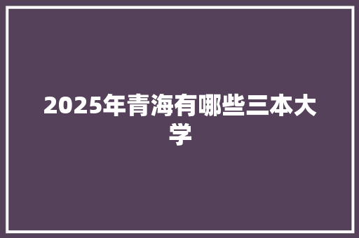 2025年青海有哪些三本大学