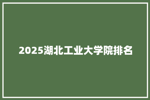 2025湖北工业大学院排名