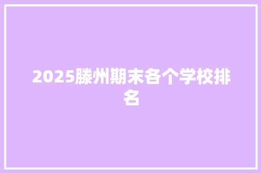 2025滕州期末各个学校排名