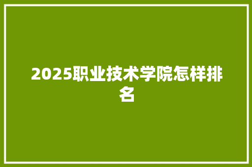 2025职业技术学院怎样排名