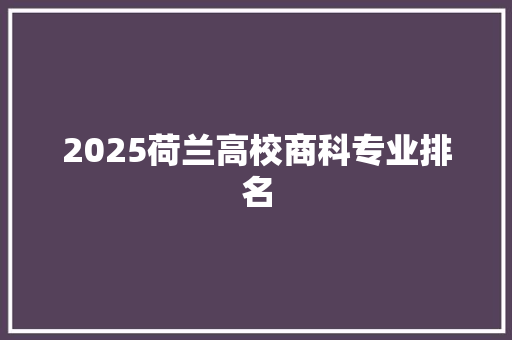 2025荷兰高校商科专业排名