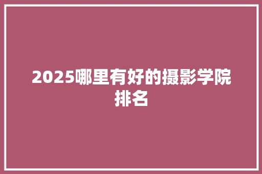 2025哪里有好的摄影学院排名