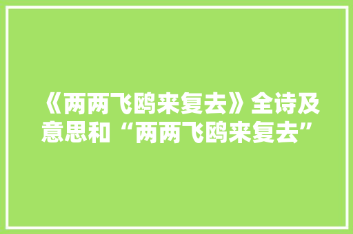 《两两飞鸥来复去》全诗及意思和“两两飞鸥来复去”的拼音注释