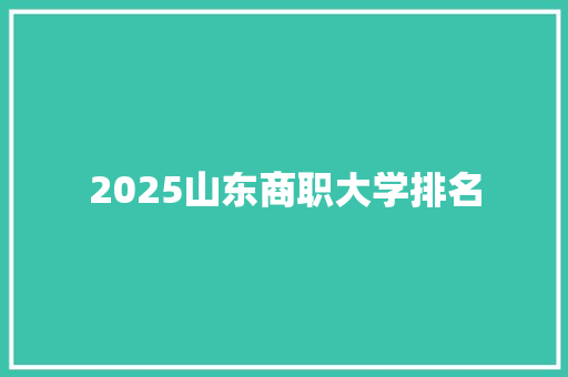2025山东商职大学排名